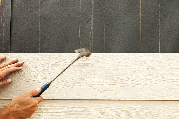 Best Custom Siding Design  in Albion, PA